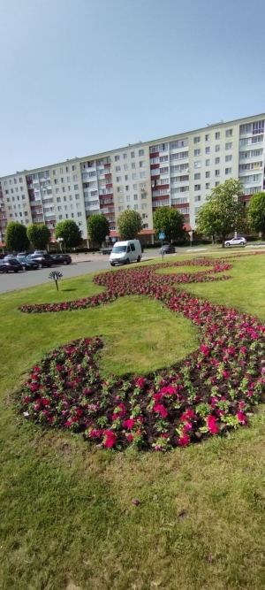 Улицы города Солигорска заиграли новыми ЦВЕТАМИ!