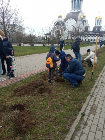 В рамках республиканского субботника, который состоялся 16.04. 2022, работники СГУПП &quot;ЖКХ&quot; Комплекс&quot; совместно с представителями Солигорской инспекцией природных ресурсов, членами БРСМ и жителями города высадили 500 кустарников, провели уборку...