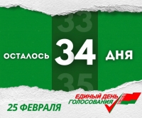 До выборов депутатов в единый день голосования осталось 34 дня